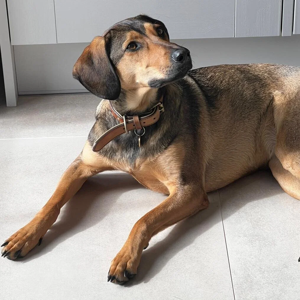 6B3677E6-48D6-4D6E-9D22-D224ABBBA3B0