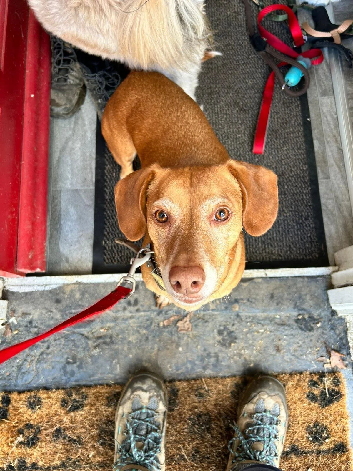 D36E346C-5DC7-4FBF-96D5-30C06B60777A