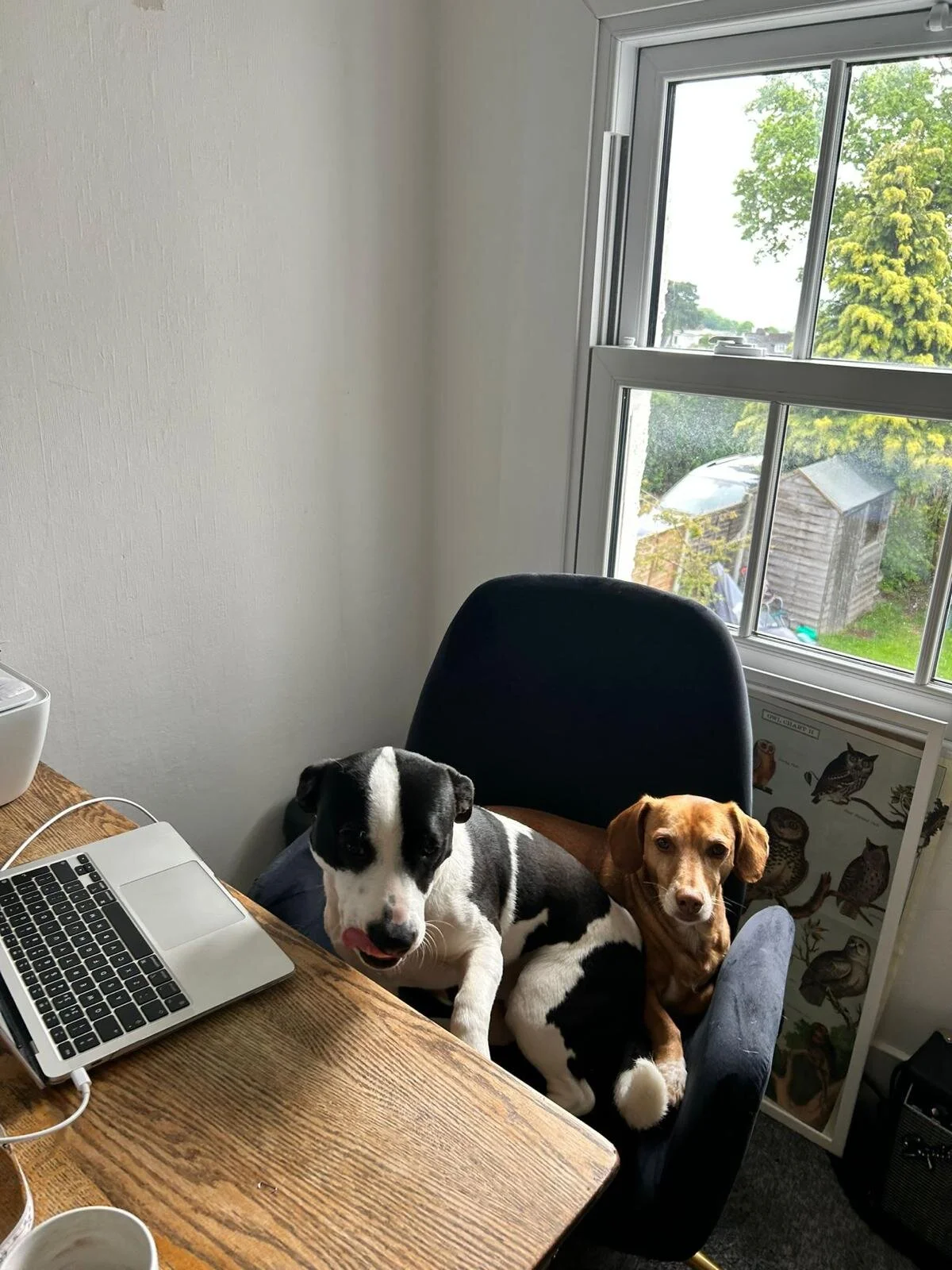 3718F74D-D764-47AE-BE30-993359641656