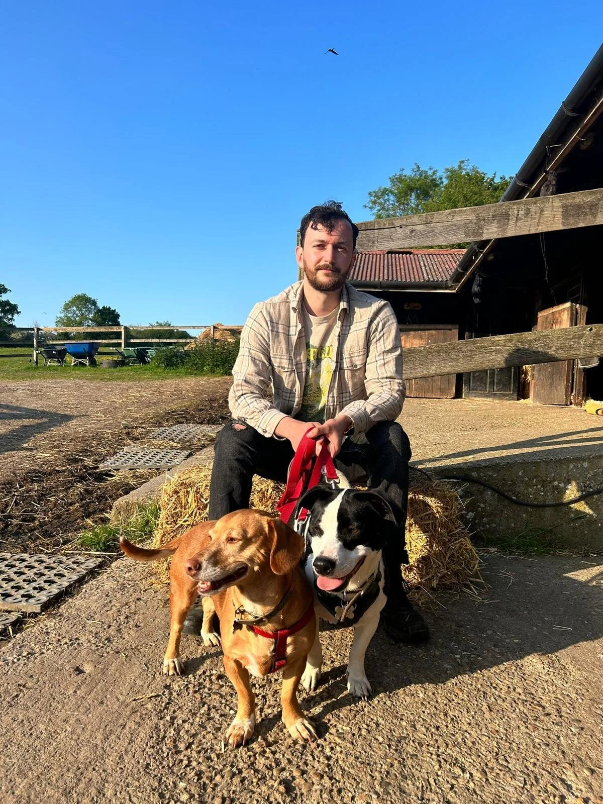 1851F8ED-1543-4AD1-B732-5E12180DDAB5