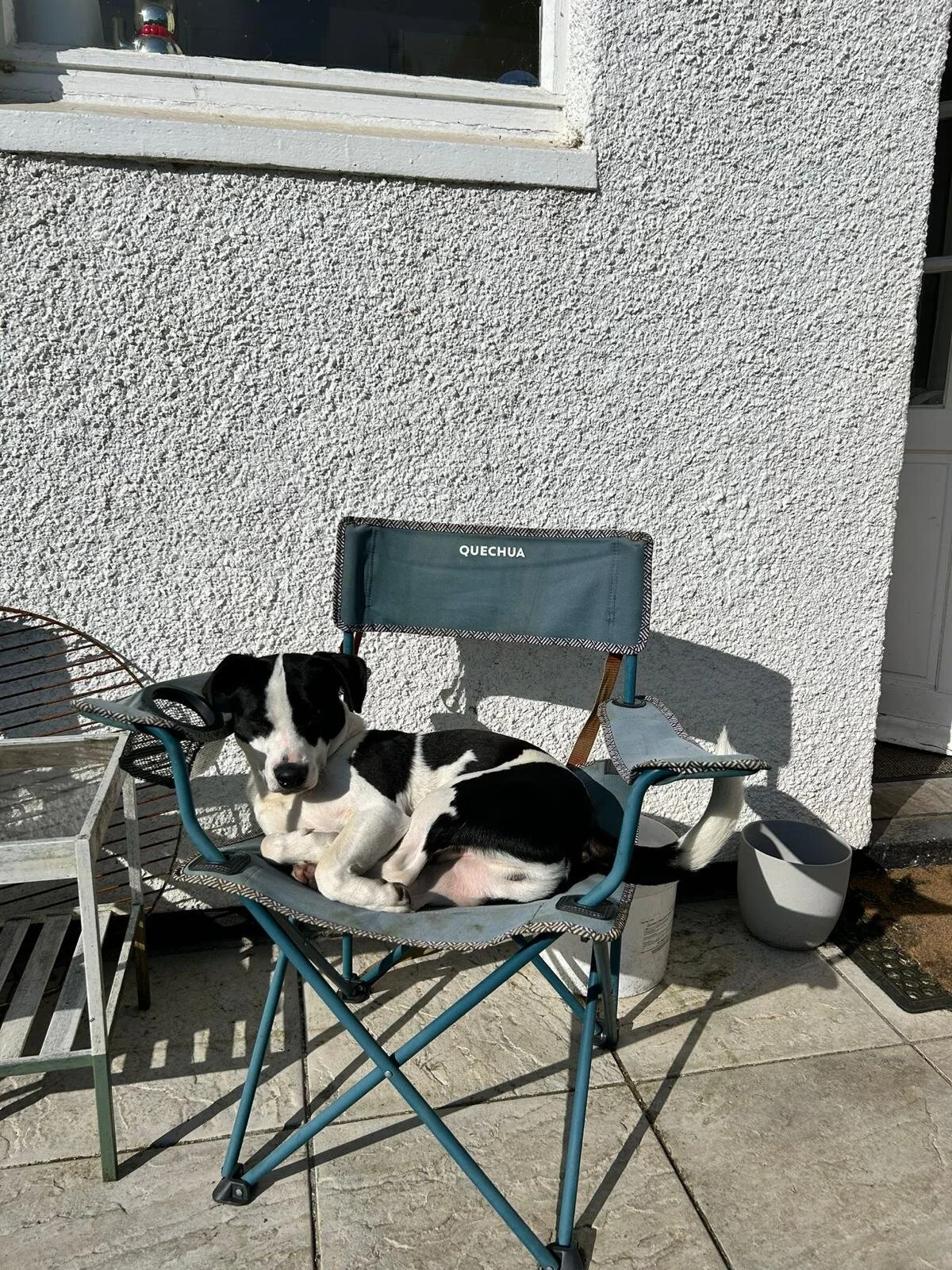 32F8B13E-FDC4-48B6-8EC3-E0BF3BA03CF8