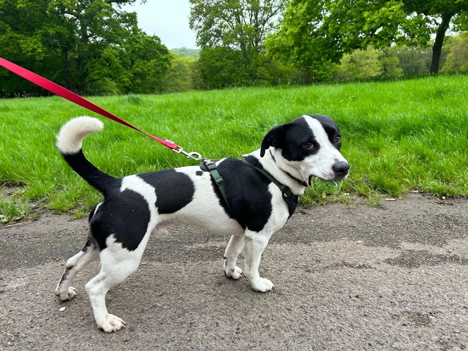 CB406146-F710-4FD0-A302-226CB59C6558