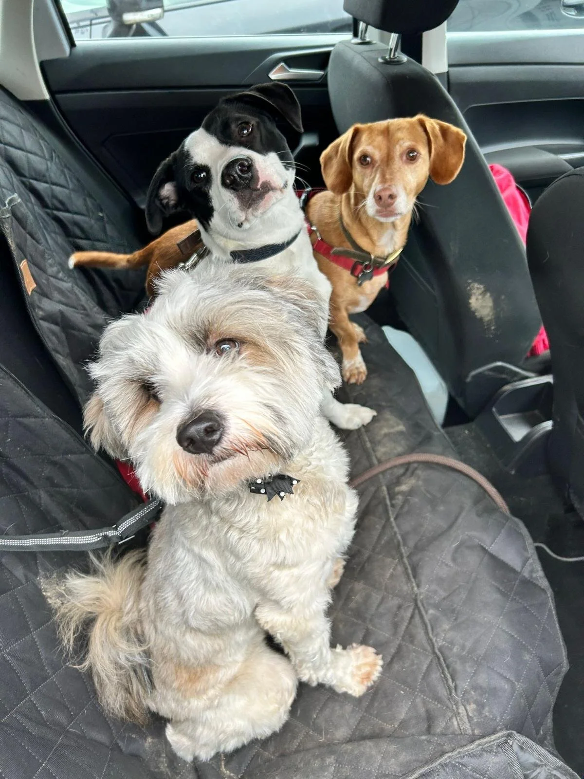 DFD0980C-E5A9-4A22-BAC6-627BA2427C07