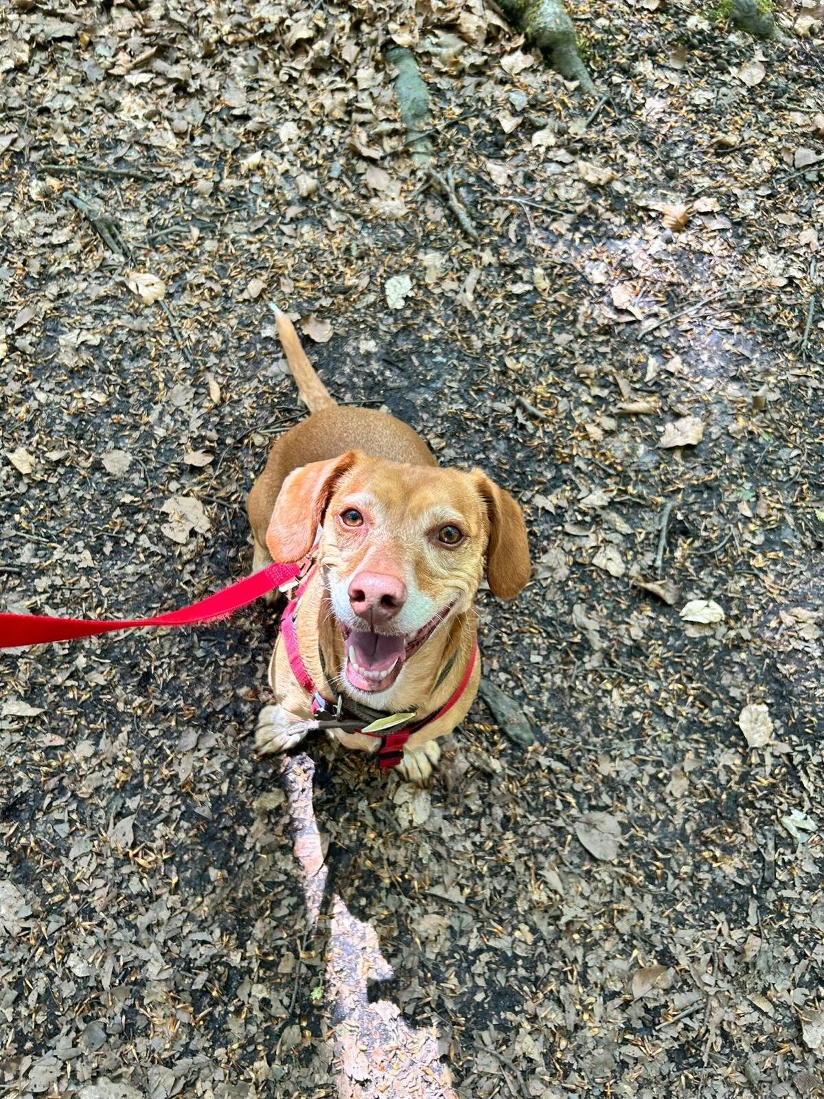 24352004-05D2-4CAF-975B-1990C47BB658