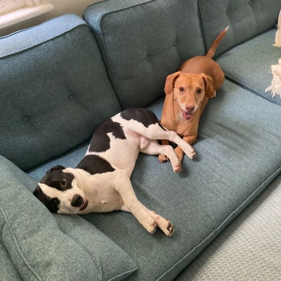 3FAB17DB-A2C3-407A-A164-3AB261F6BA10