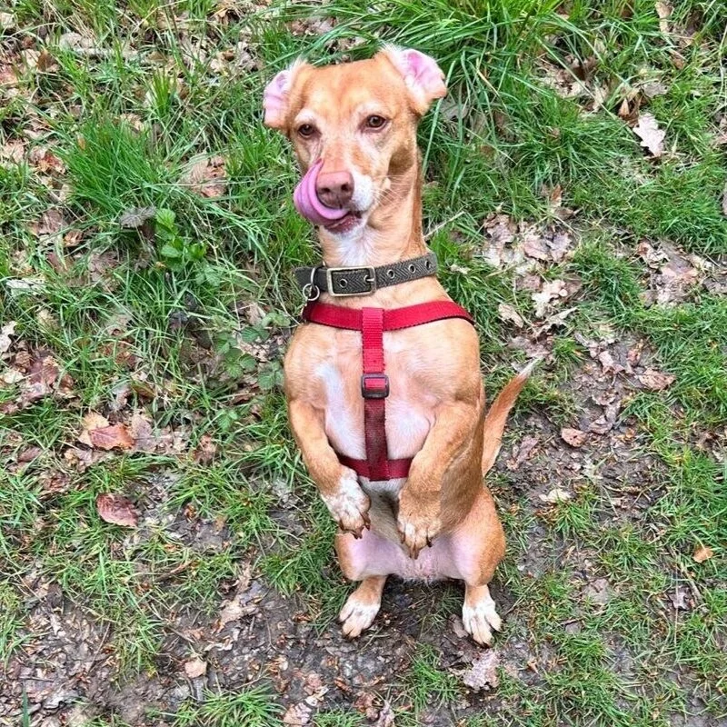 8044269D-18D1-4074-9B79-D98BF4602208