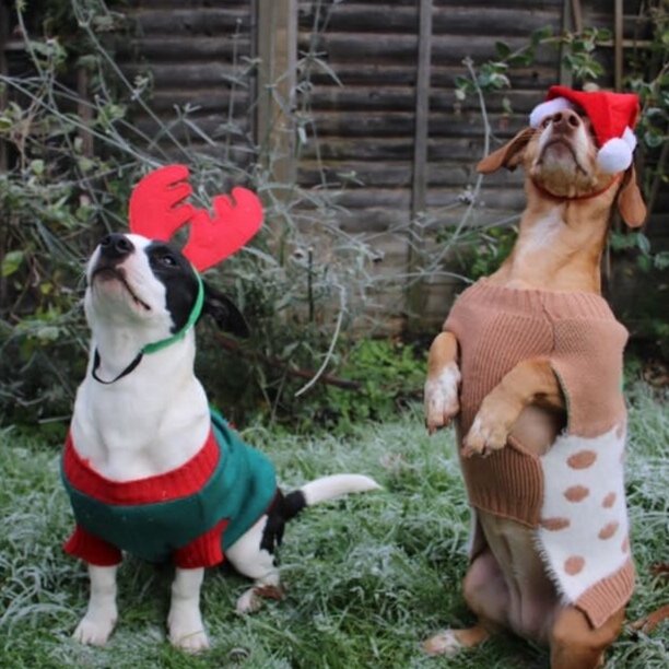 69FA8D4E-68DF-43BF-8E9F-A30C6C2281B7