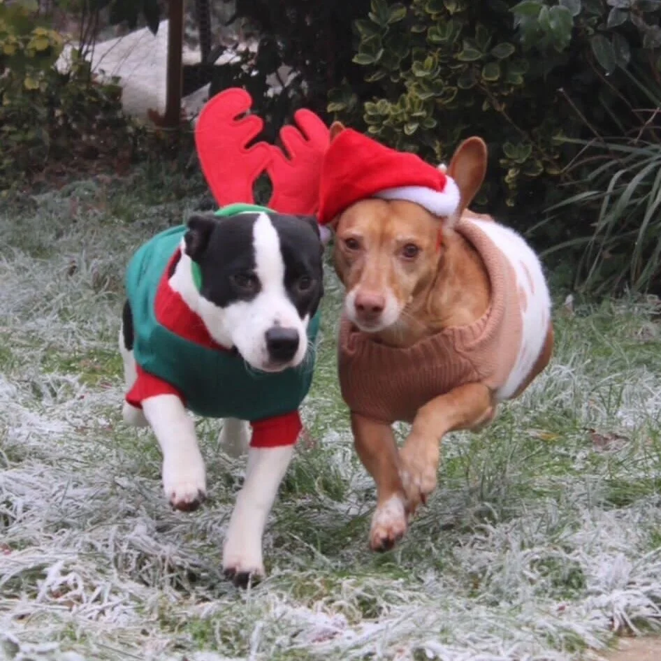 32C3497D-666C-44E4-869B-1A2BC5688319