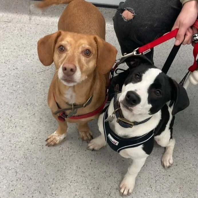 3D69B094-771D-4E18-910D-C439D684CEC3