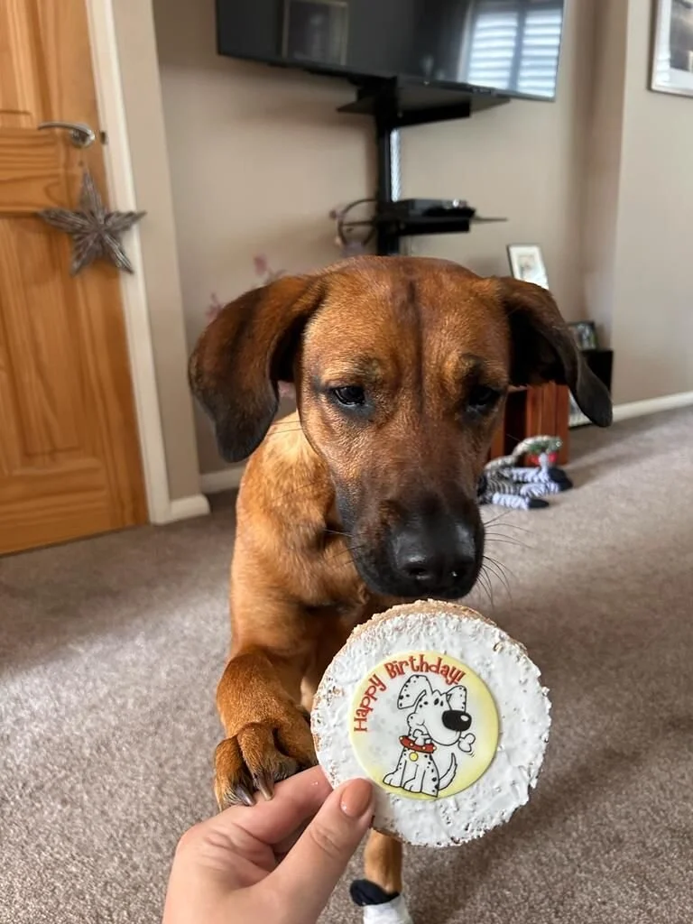 4045890E-5EE0-4937-81A4-3B9DA6CC2150