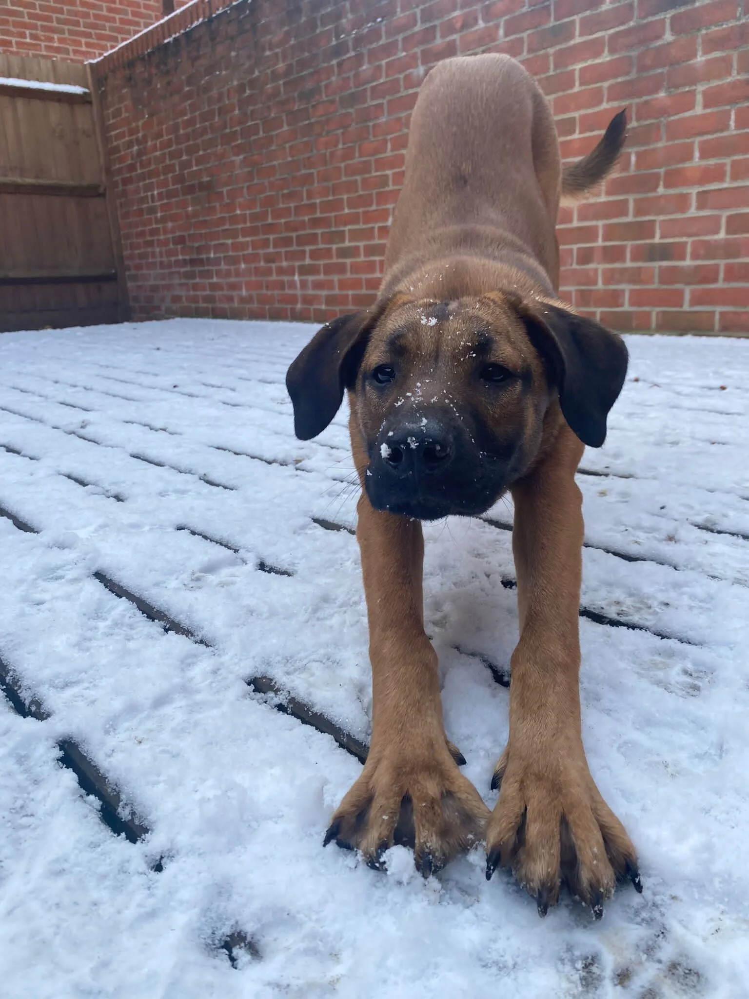 8C2276B2-7F92-45B2-83CC-A5D7E81EEE2C