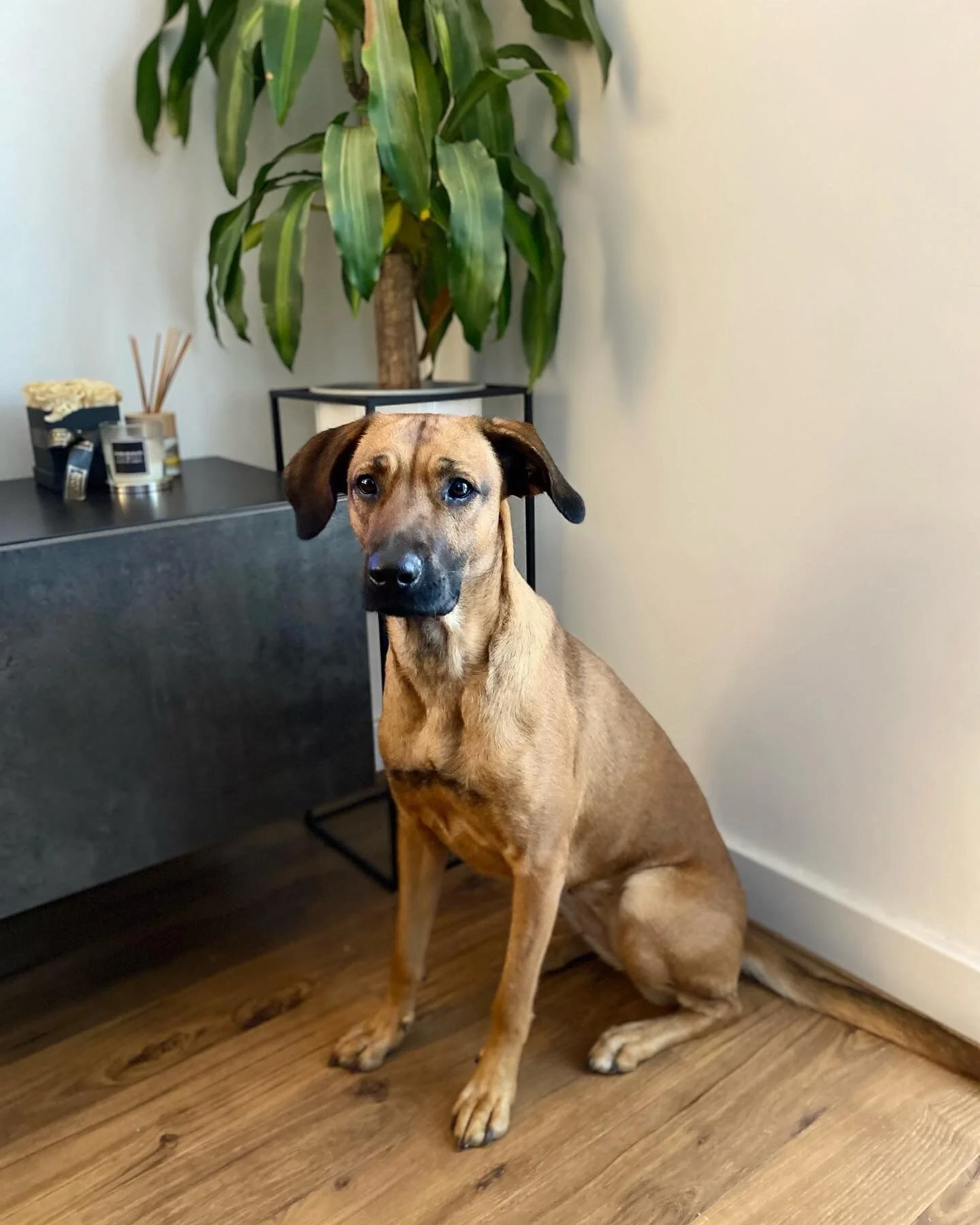 12F10204-9FBB-4B05-9F46-3BB01069A2DD