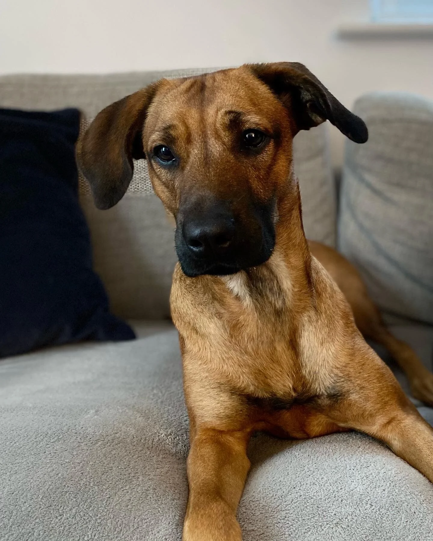 A0A1490F-2187-4509-8CD4-4BEFB17BC4CC