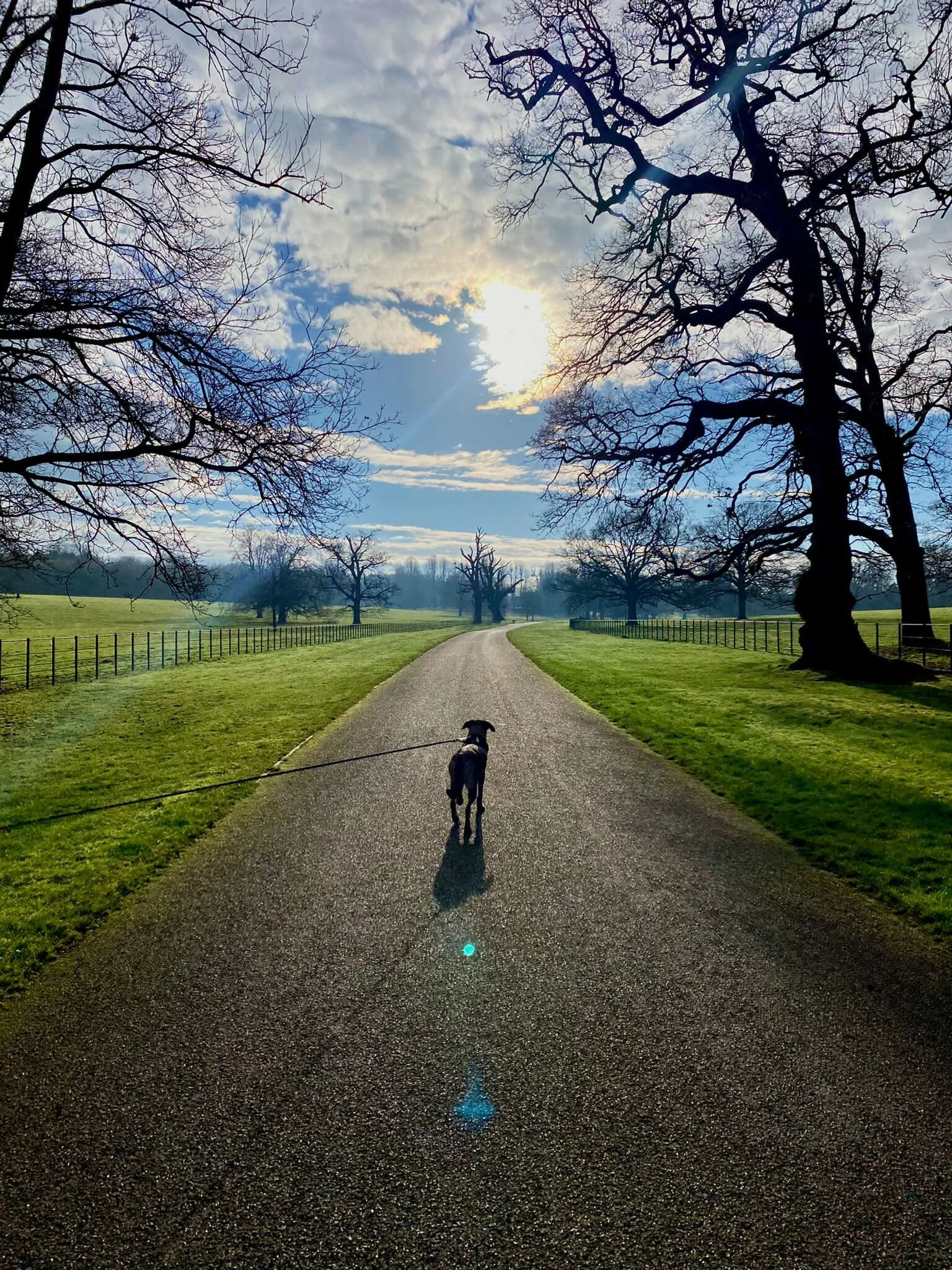 1866209F-9E3B-473C-A13B-C7CEA152258B