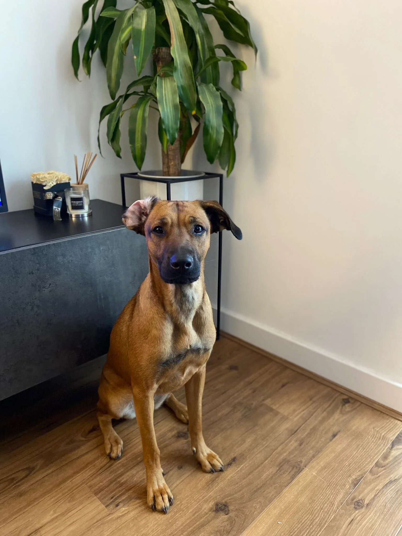 E120563A-B965-4F43-8E53-7E501A970555