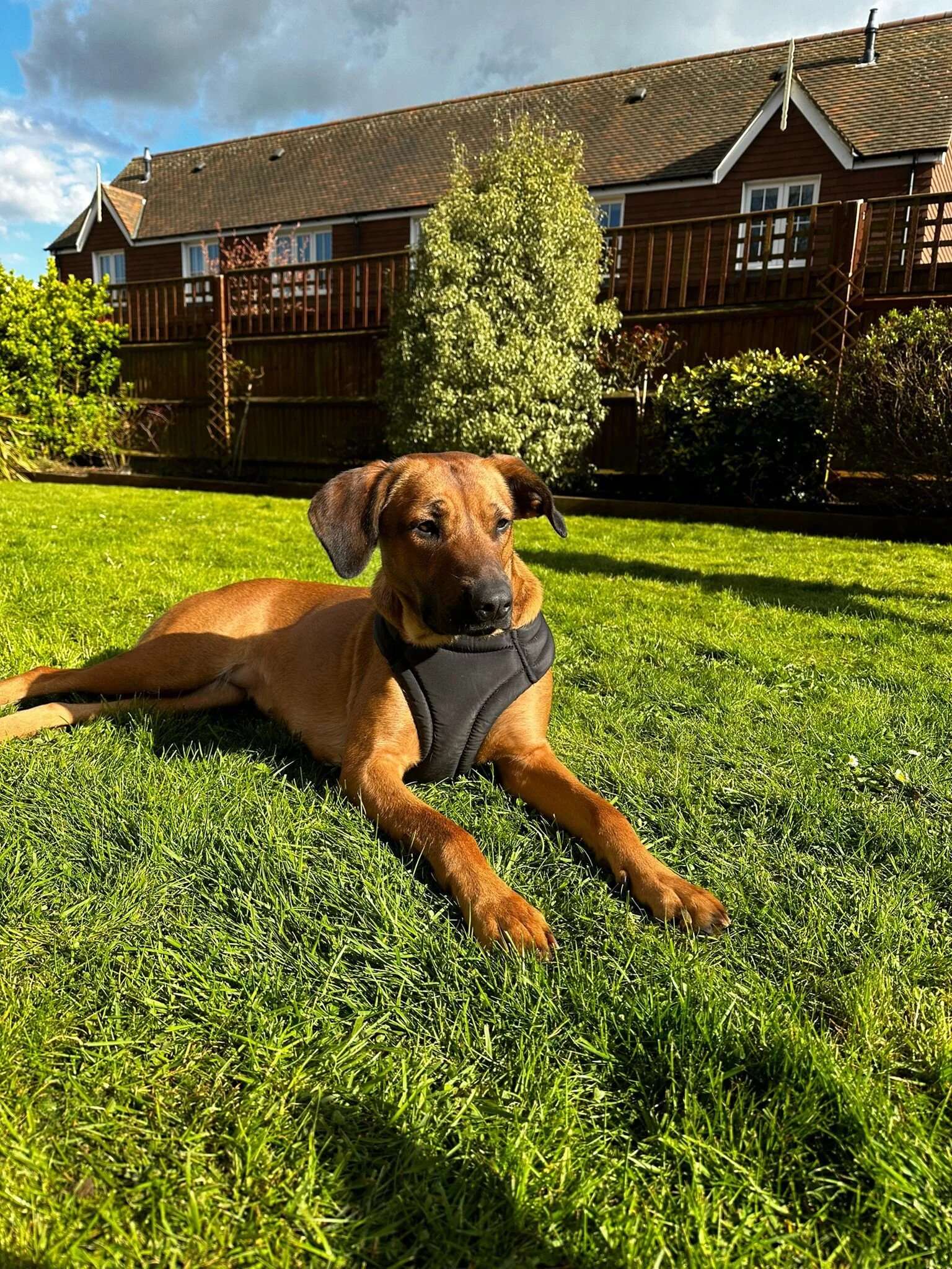 10BD4DD7-AE95-4F2D-88AE-0F33D08F8999