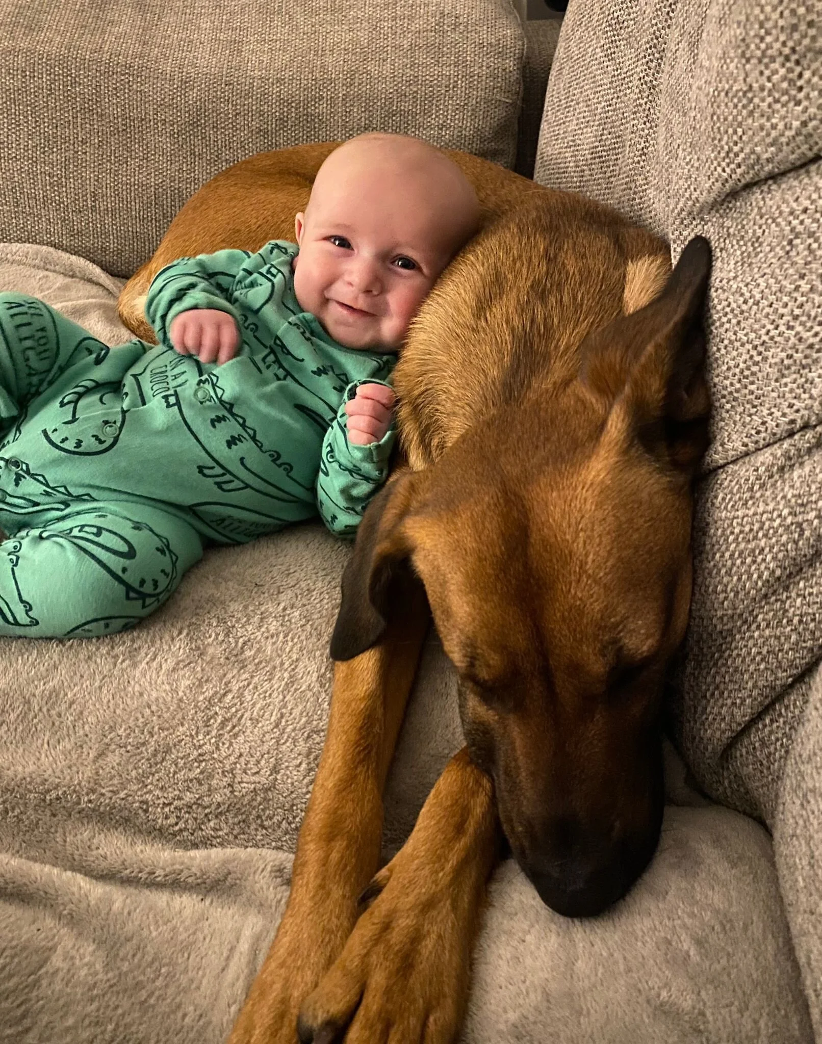 F6E2E8A6-FA1E-4B35-AF6C-6BDC4586D02A