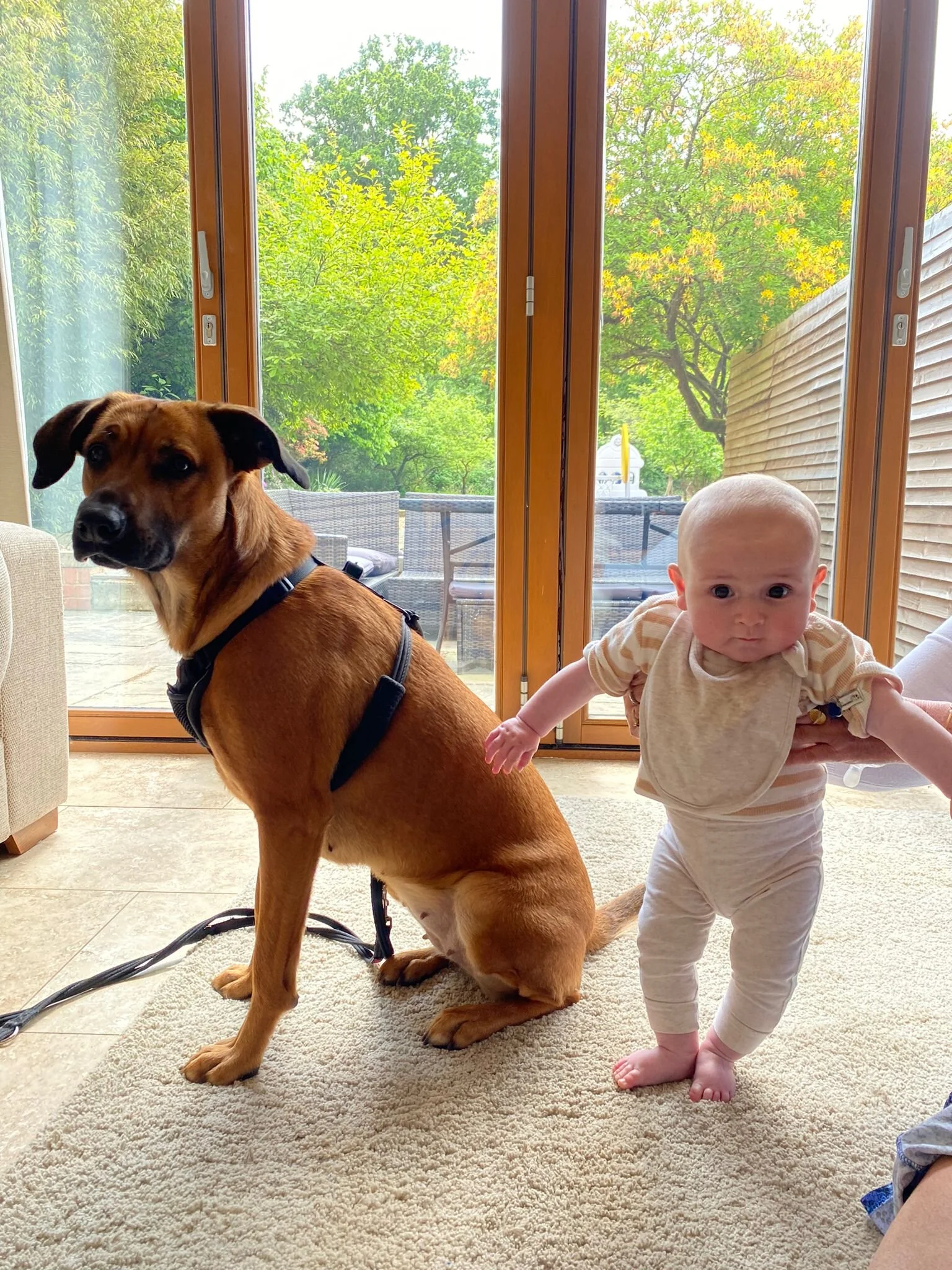 D38A7F21-C869-4664-BC96-7E3180534F9A