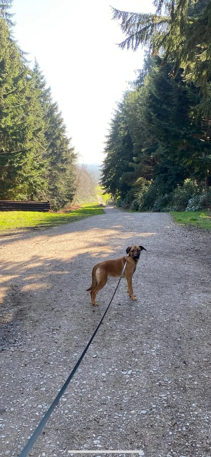 2ED2AA71-72B7-46E2-9DEA-086A6A59AD40