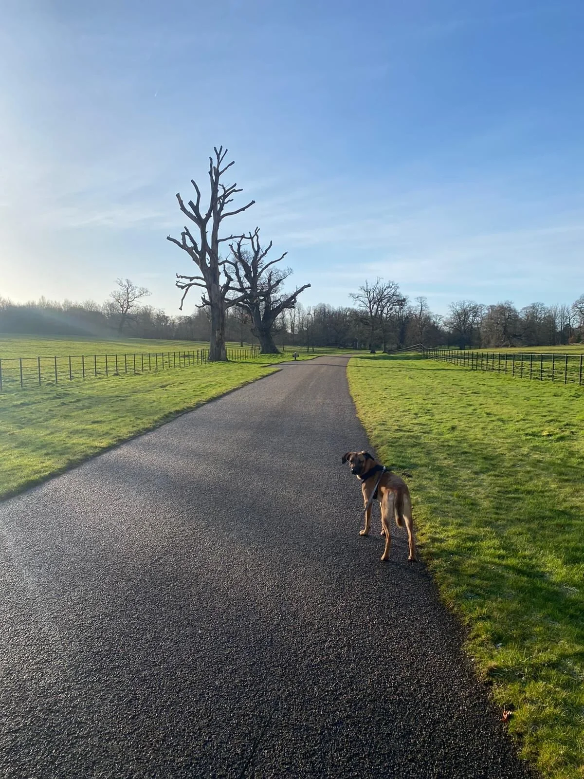 62F87A40-025B-4ADF-AE5D-EE69C94CE9E5