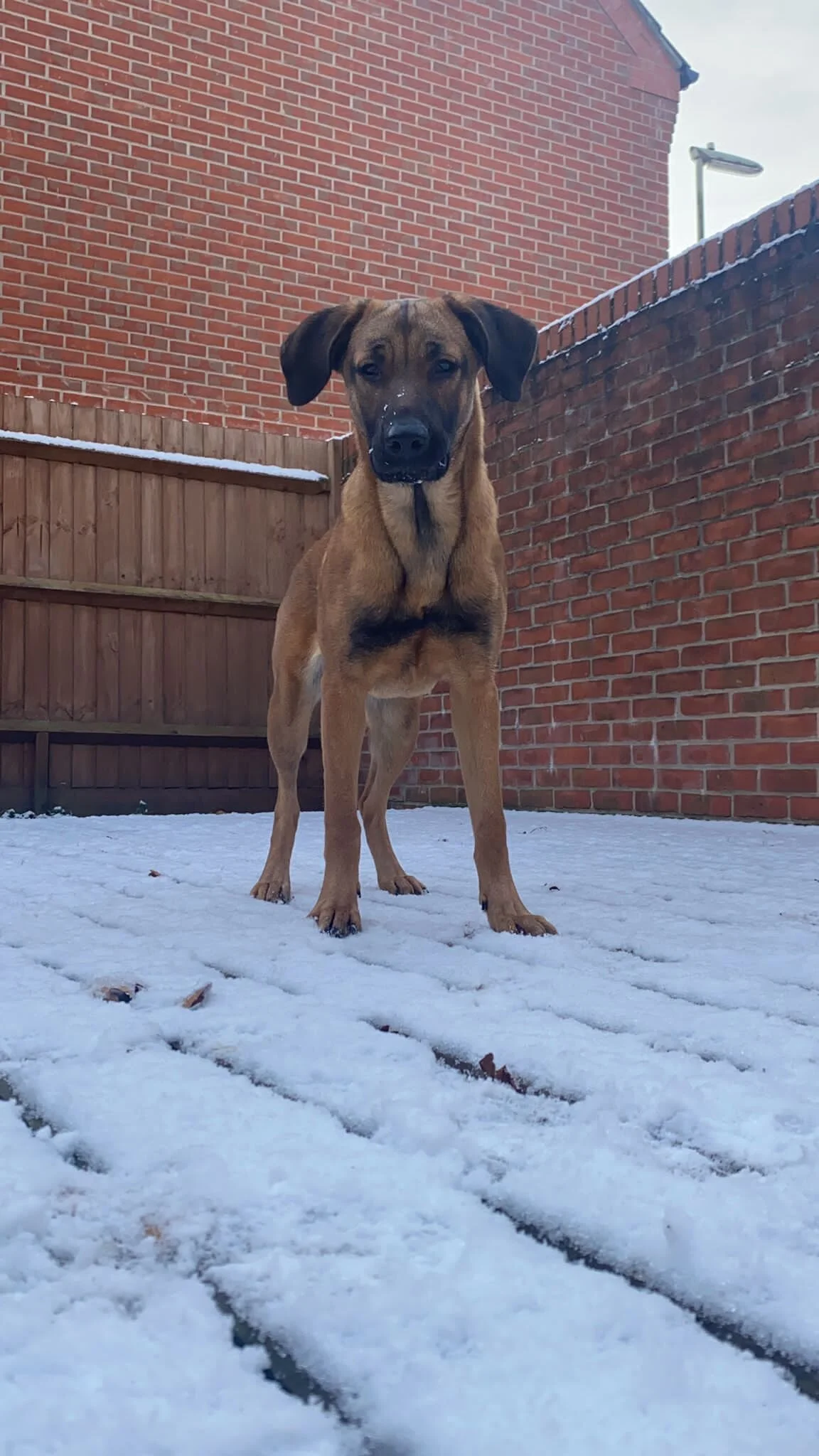 06C2A9E1-80A5-4661-AB5A-2BB83F5895F0