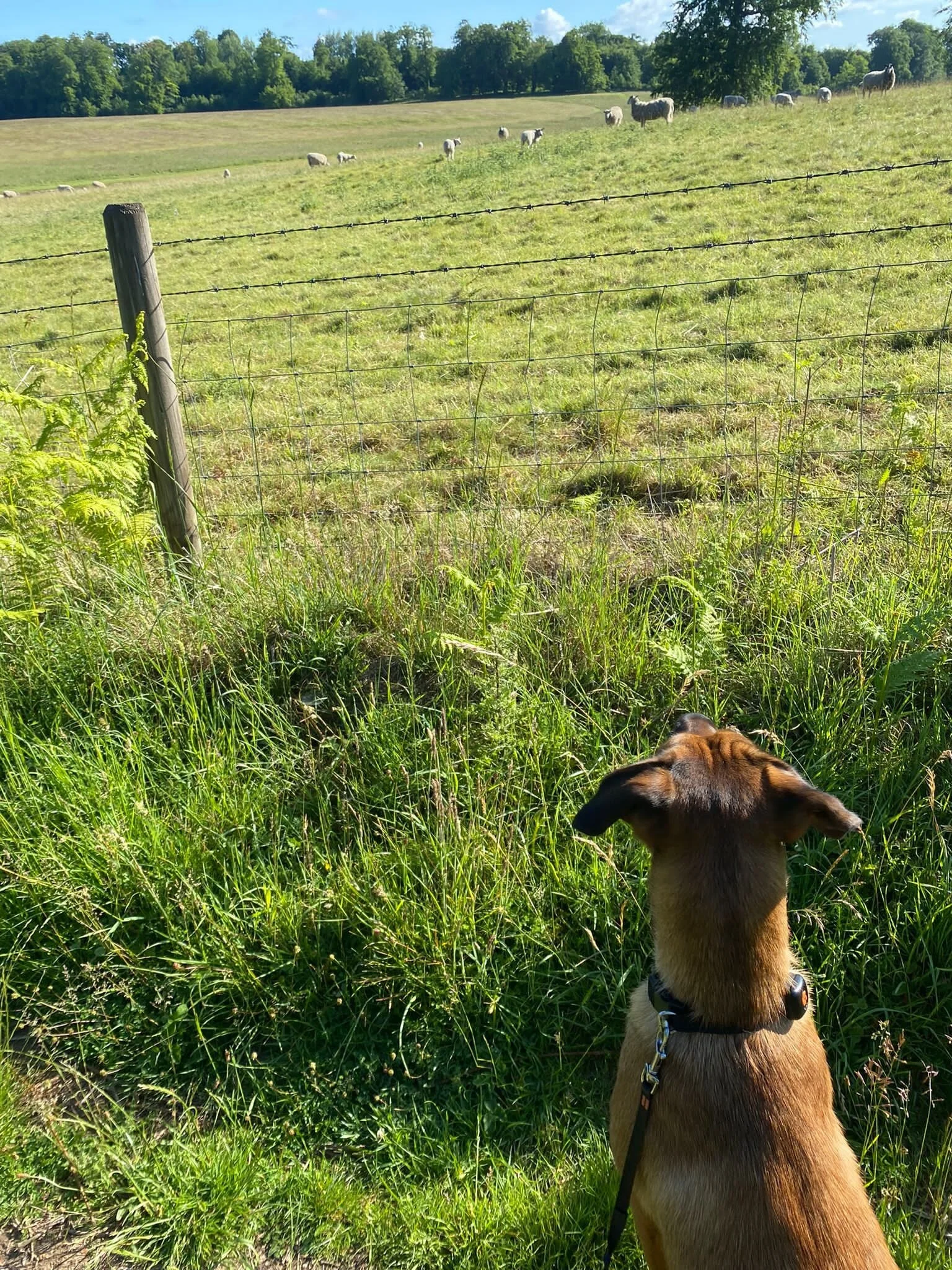 7C53D656-5CB1-46A1-ACC5-F0B90B539C8D