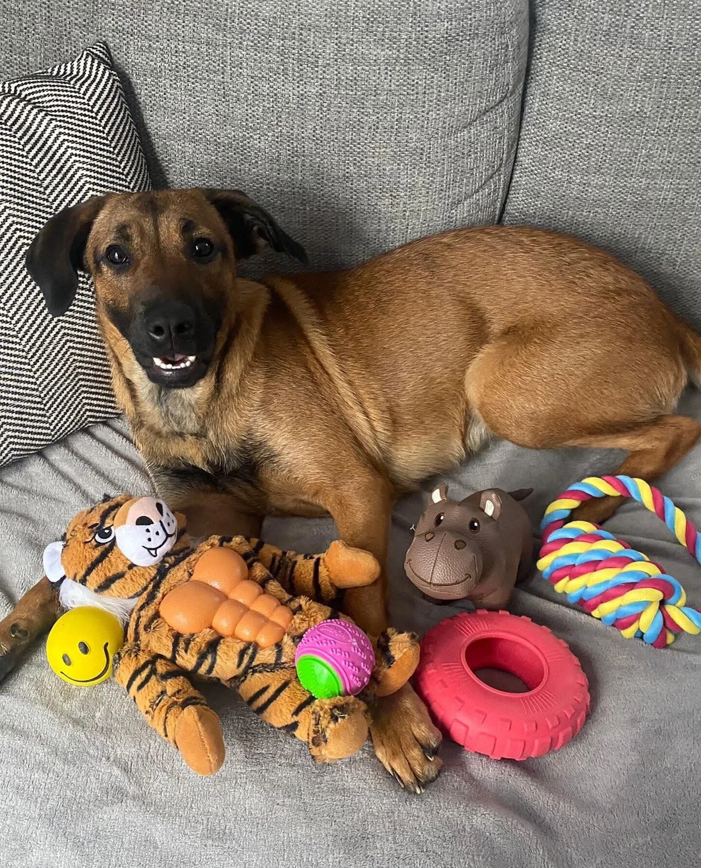 5D81534F-89C3-4D4C-B414-1A69DF5BB825