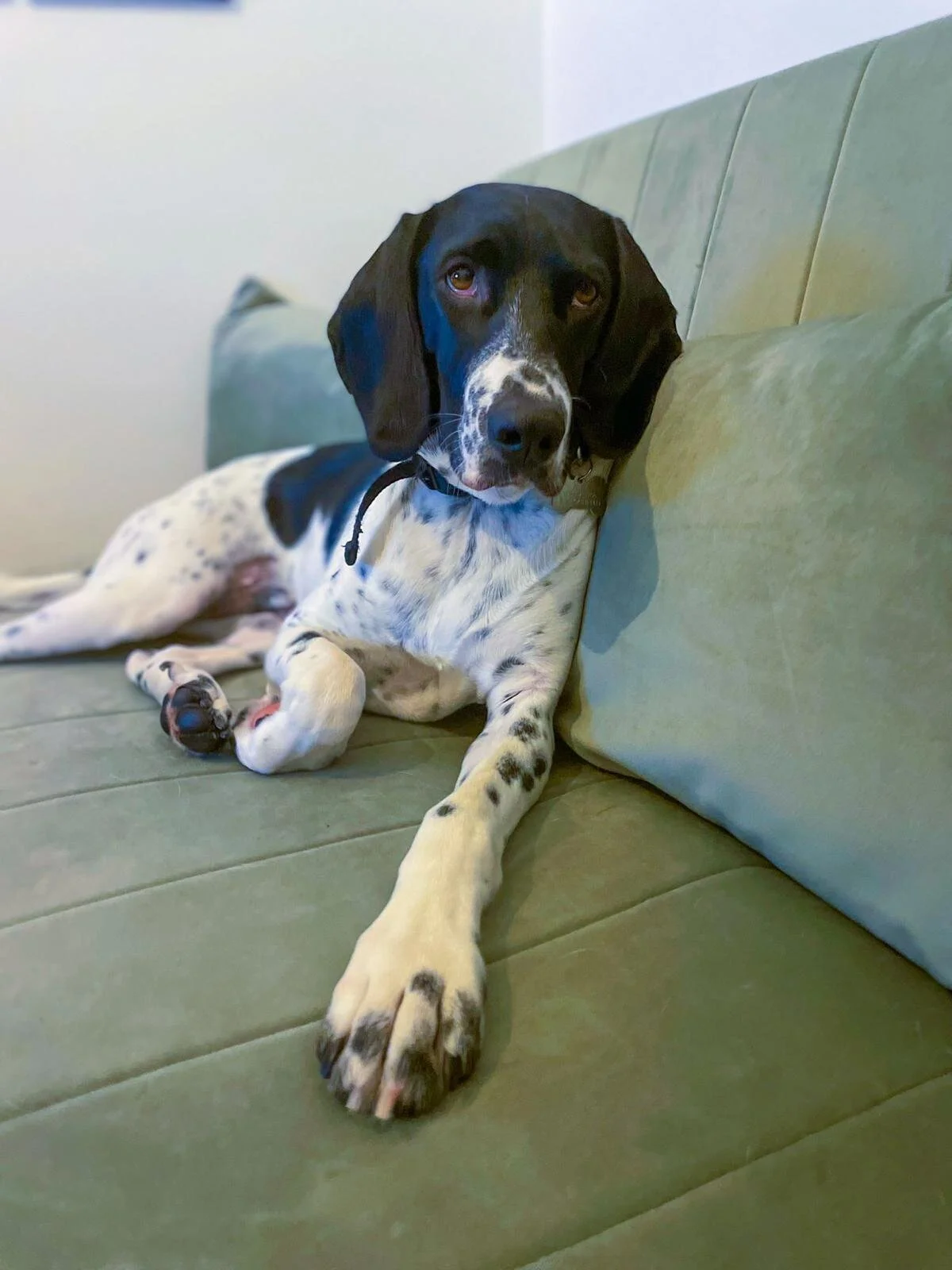 ACED2945-7F74-4C7D-88C8-54B2E2EE4D04