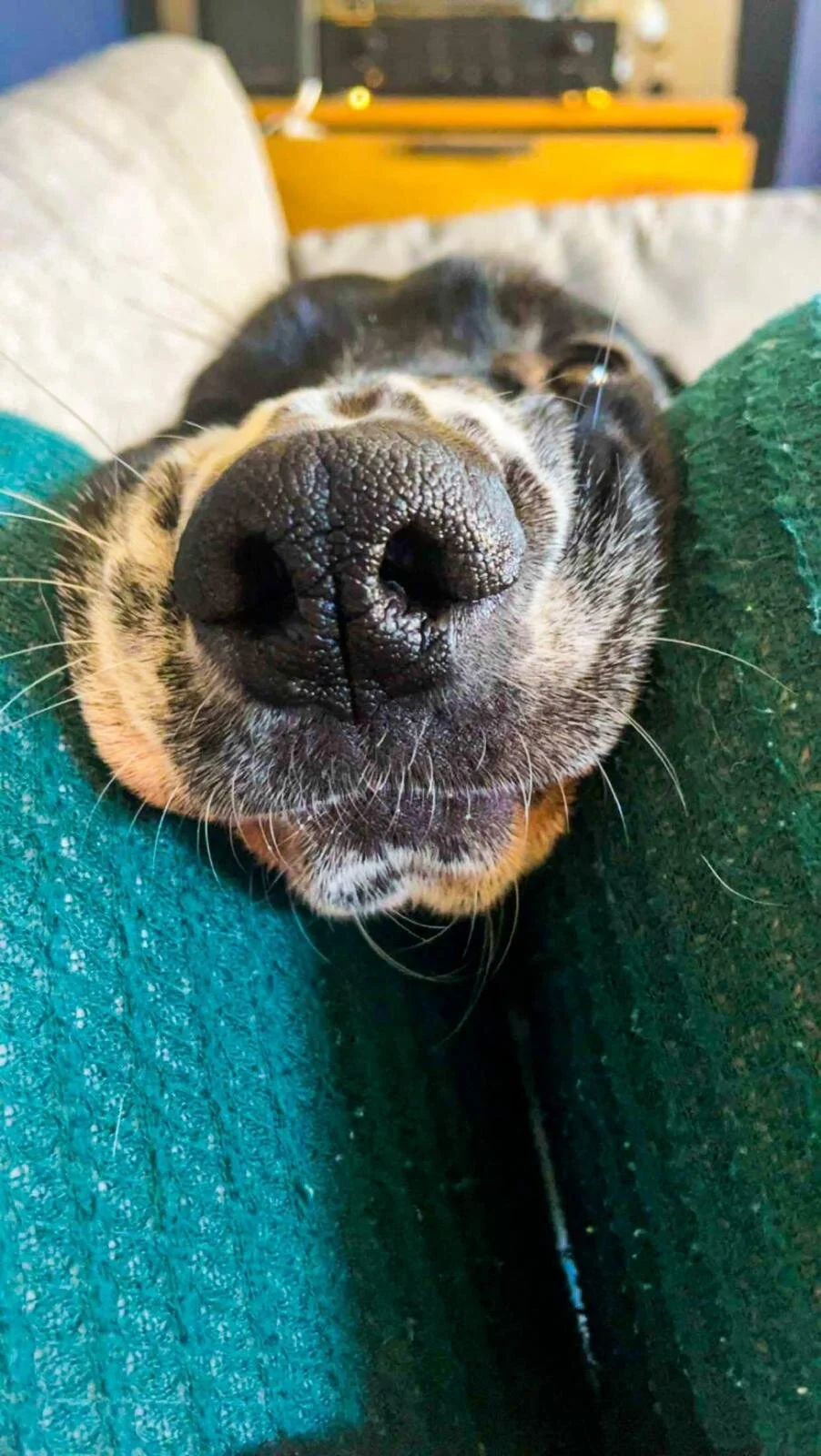 724AF590-699B-45EA-B6C1-5FABB9997446