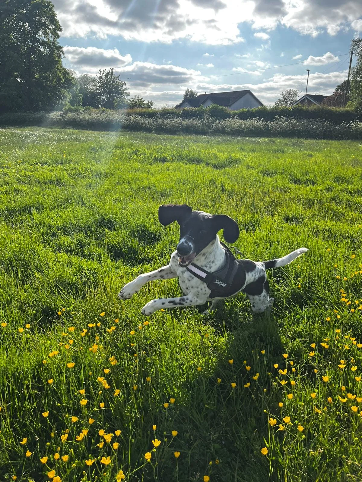 D43D1D5F-0558-4F0D-86E3-236CFA9D7790