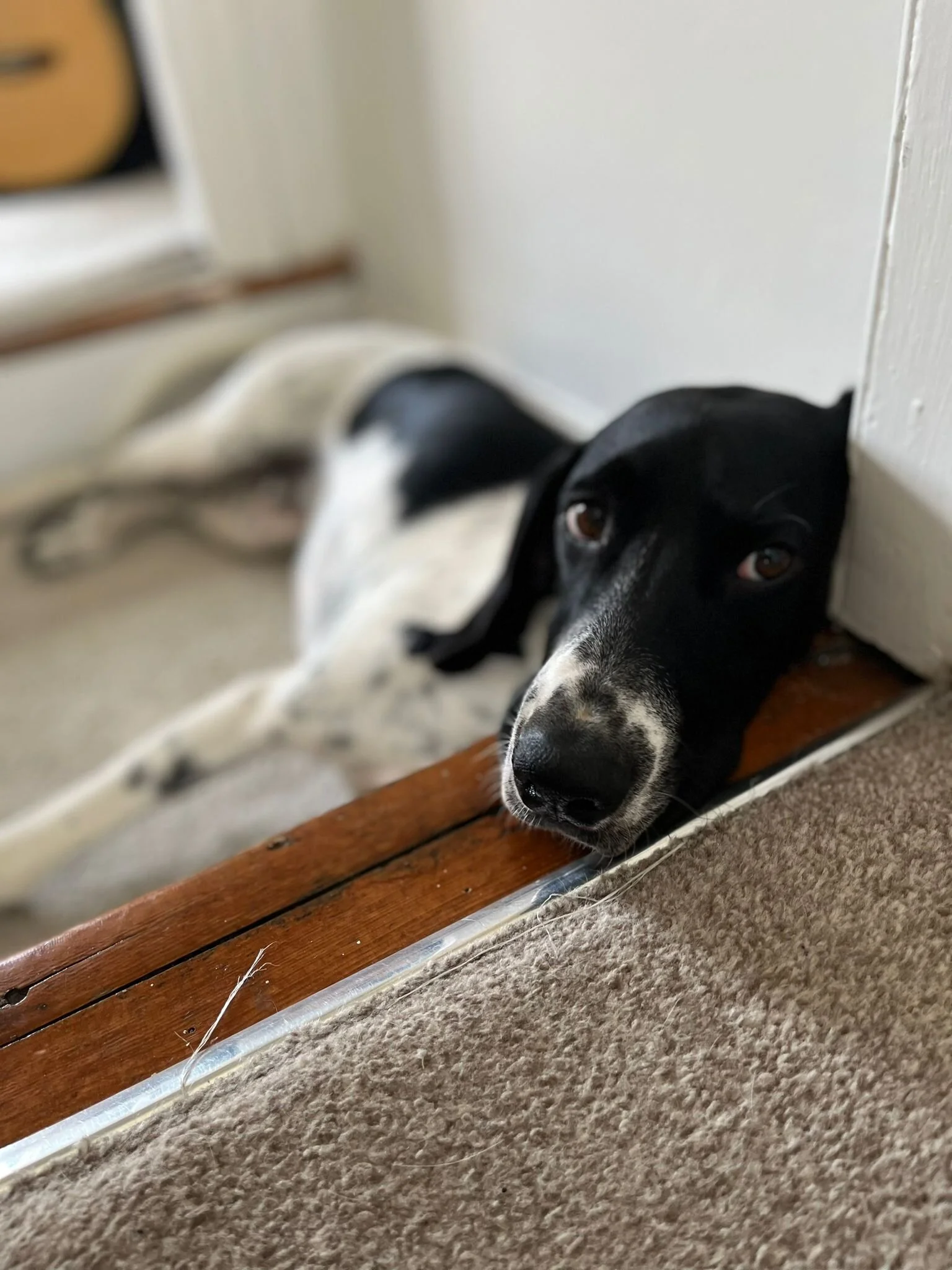 E99E9656-BE69-4C7F-909F-BA05ED5E1B41