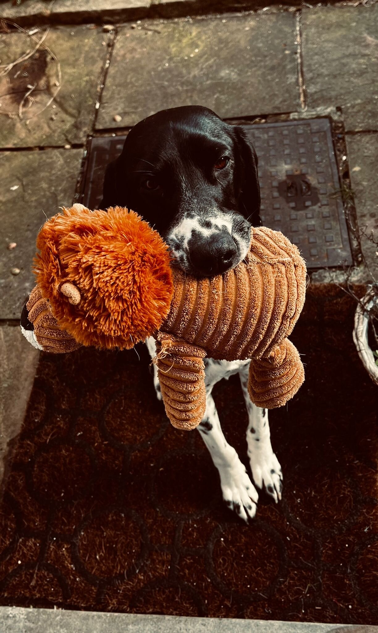 0BA9113C-F568-4E78-9412-2C78341A7A72