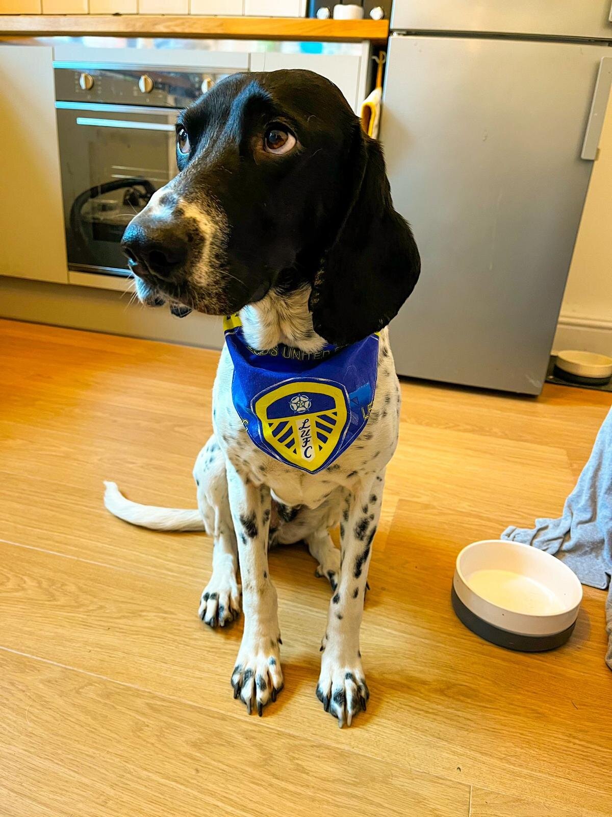 A3D25709-1ED1-4558-A0FC-D64FAF80A3AF