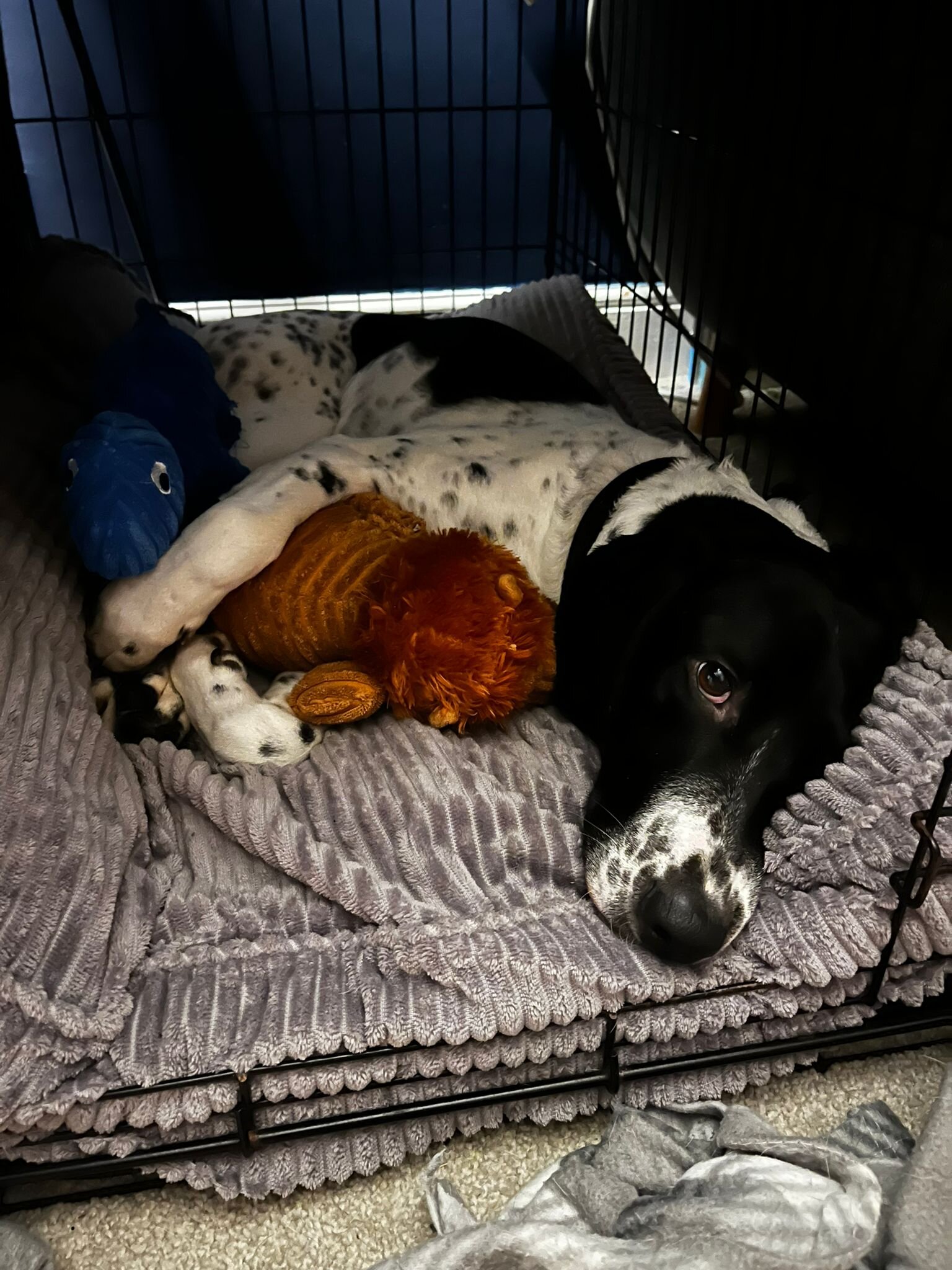 FCB6B0FD-CBA8-496F-B393-A8EF82196A43