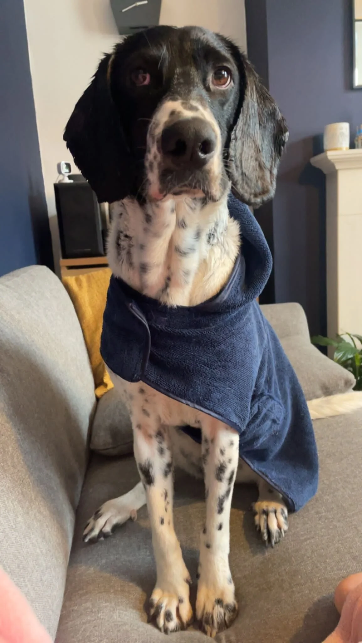 D8784B83-F9A4-4EA6-80E8-B392A50A299A