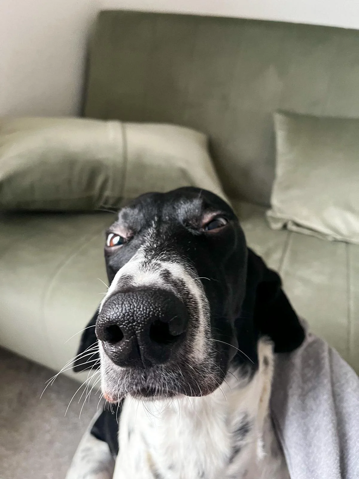 6C999B4C-9351-4C76-9C9E-D07ED40E0394