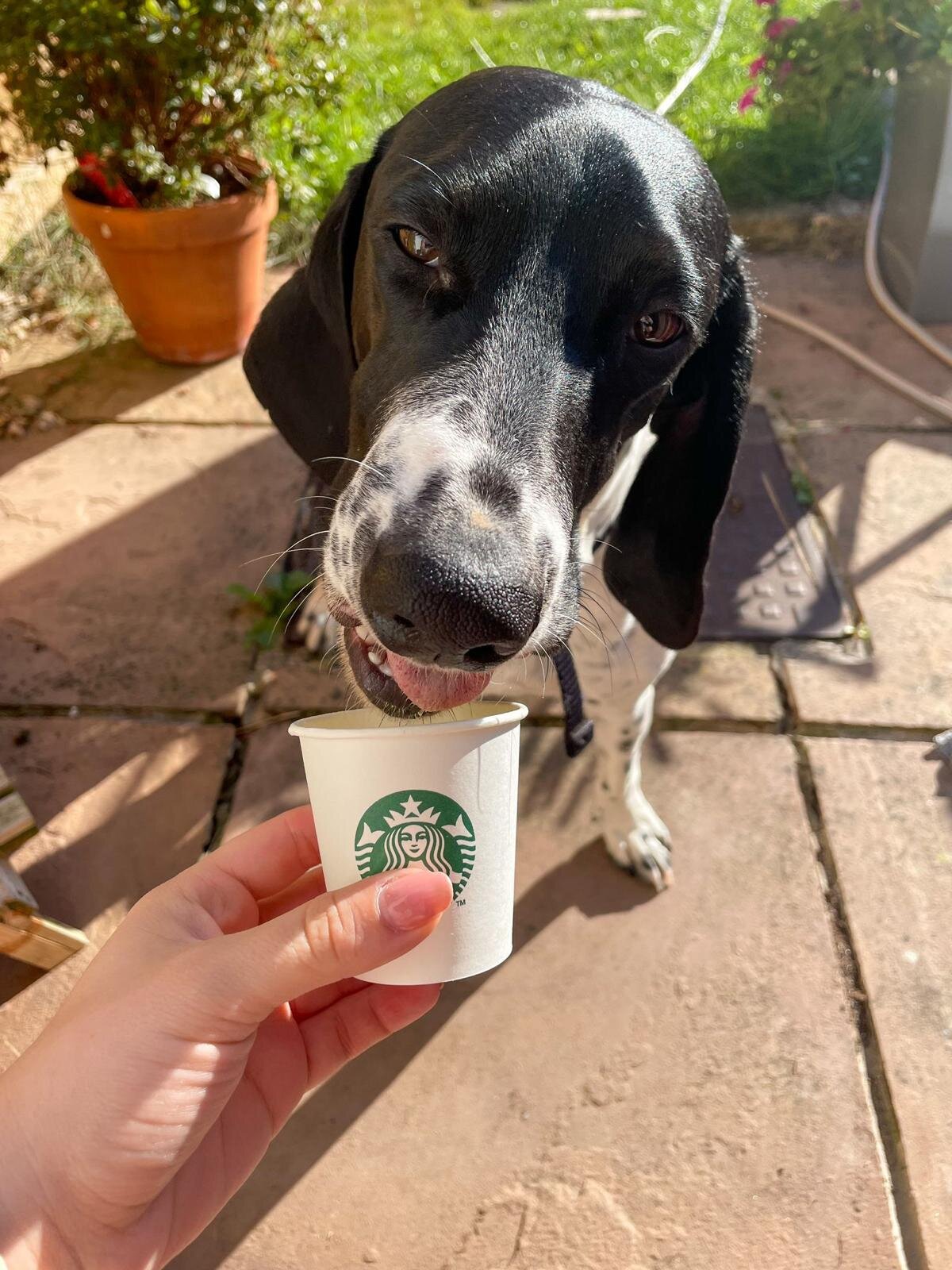 A2429DF8-20B4-428C-9D95-0ED1311DF766