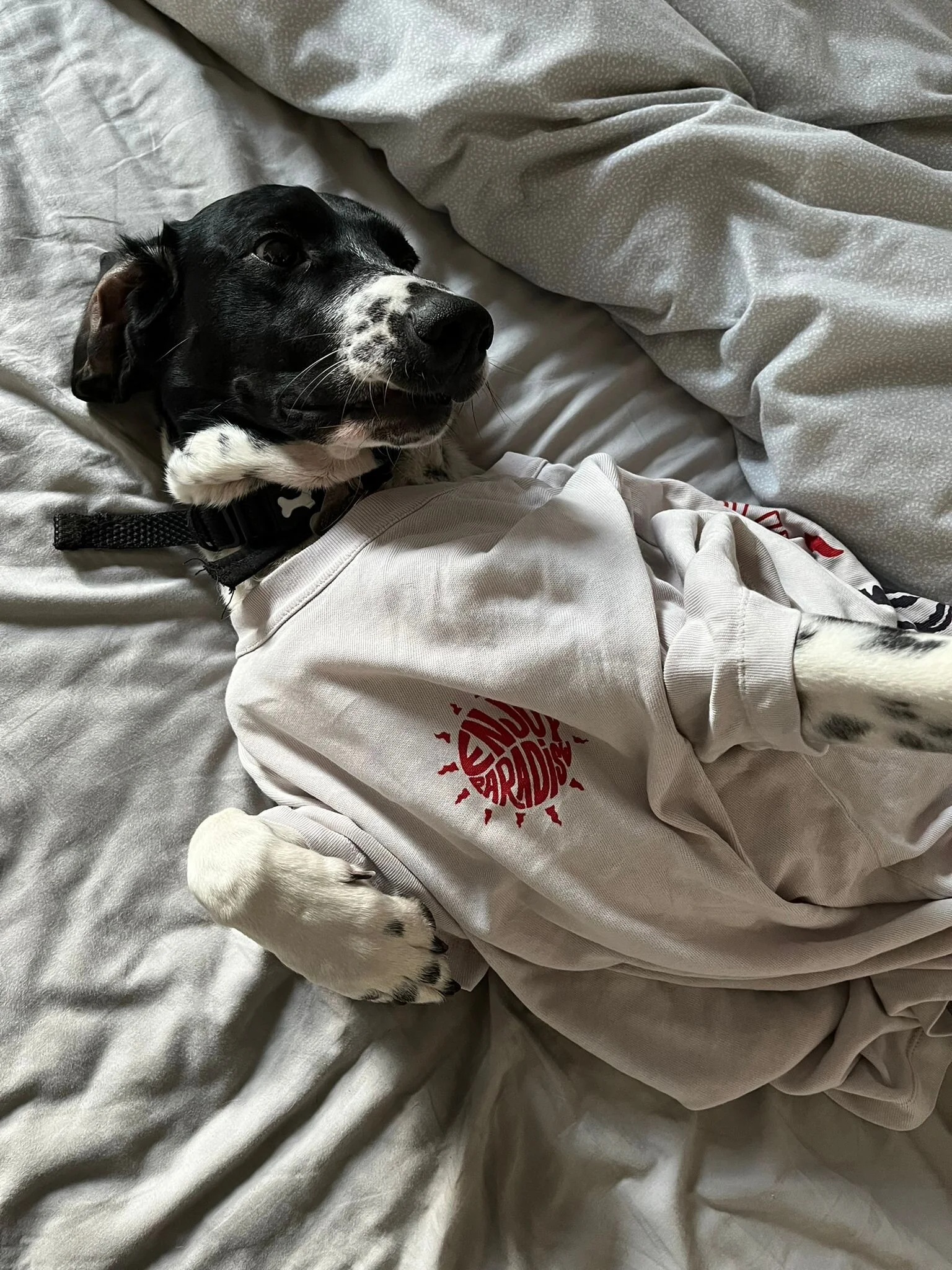 3C0C5DD2-13E8-48BD-B59E-6460FE3BE5F0