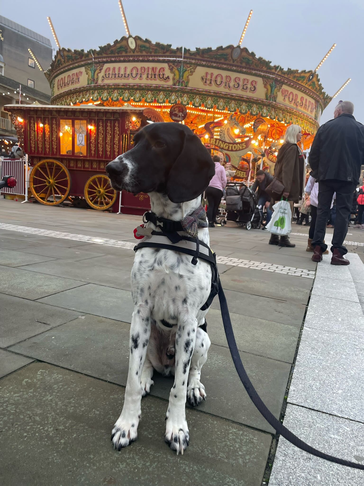 2B741682-FDFA-4F62-9C5F-4F00E59B45A3