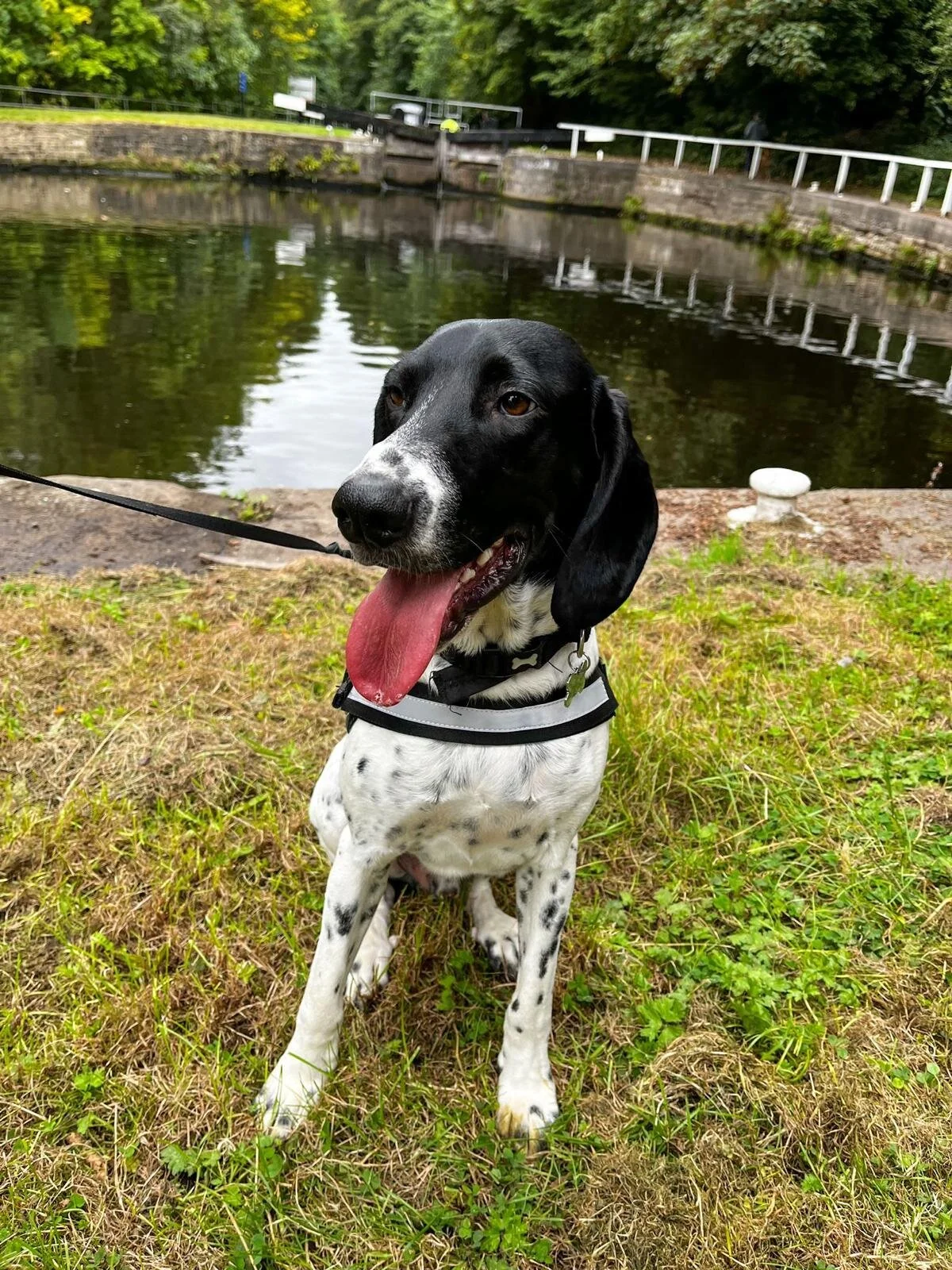 DDE9F9FF-9189-4AA9-8F77-5766A4E1DB24