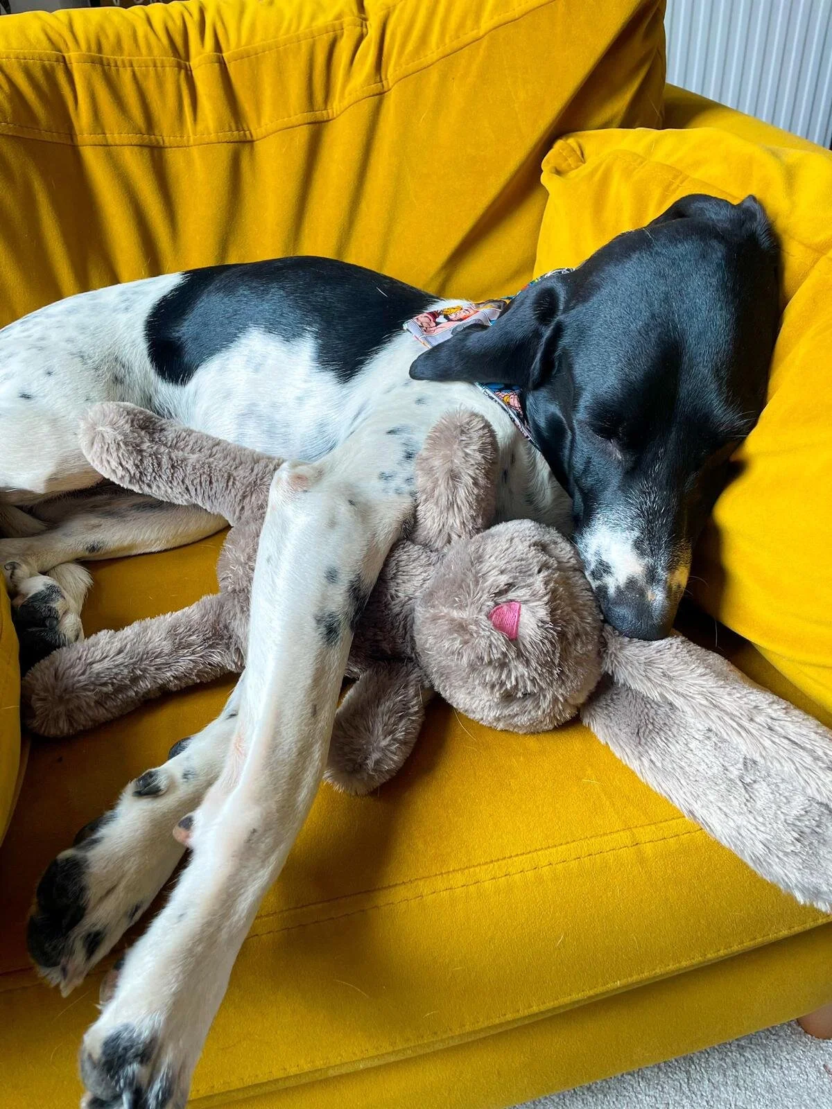 223268EB-EBBF-42F9-9539-A5507059675F