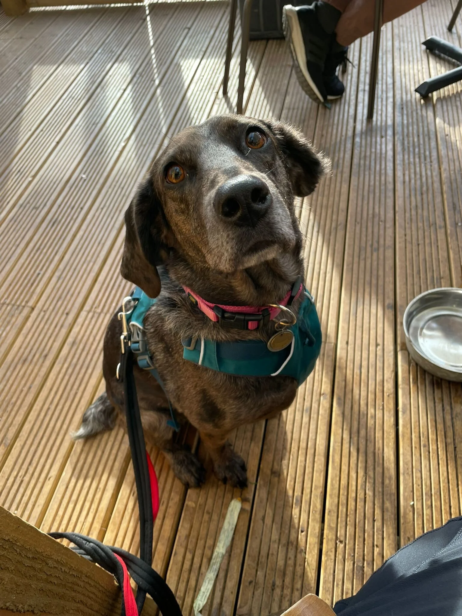 D1682447-F228-466C-A257-463CCD7A8311