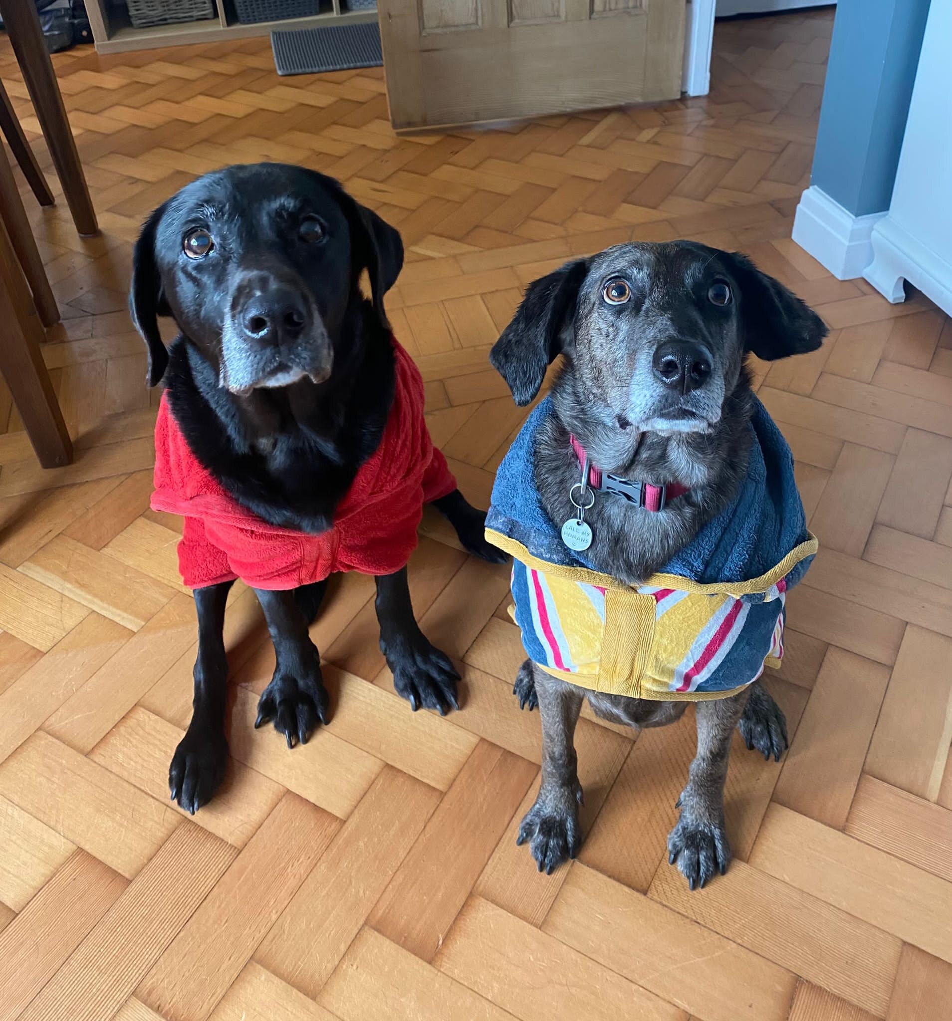 270EA172-E393-4CFD-B0EB-19151F0FC5BE