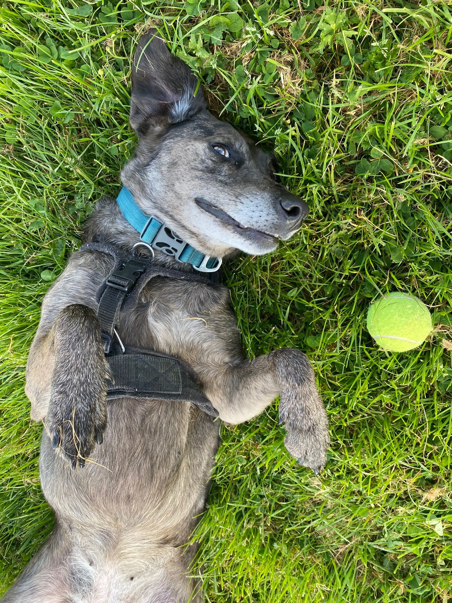 5A15551E-B195-46E7-99A0-E3F34E0410D1