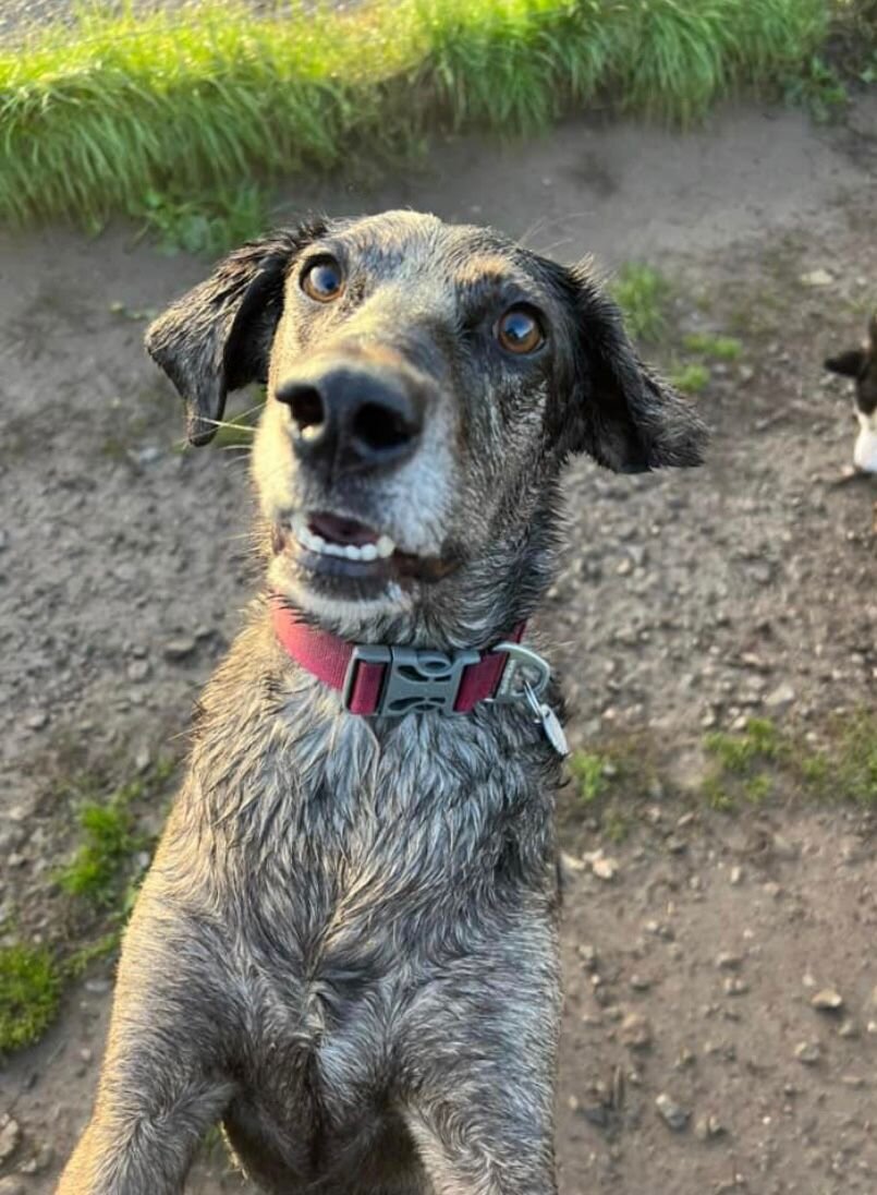 913E800B-E38E-4B30-B008-7B80F69BBFE4