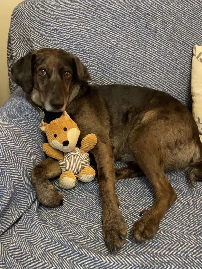 3AC5F96A-BCA5-4BCD-94A5-7736A608BB1E