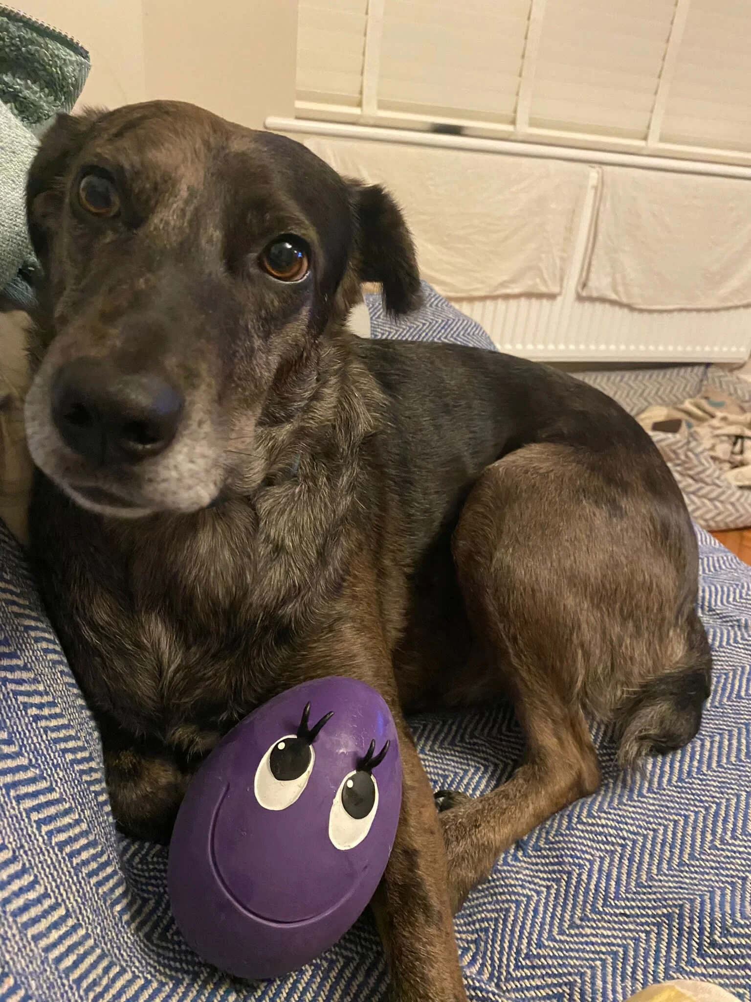 C2117DED-0947-4318-A0F2-9F07A8BAEE90