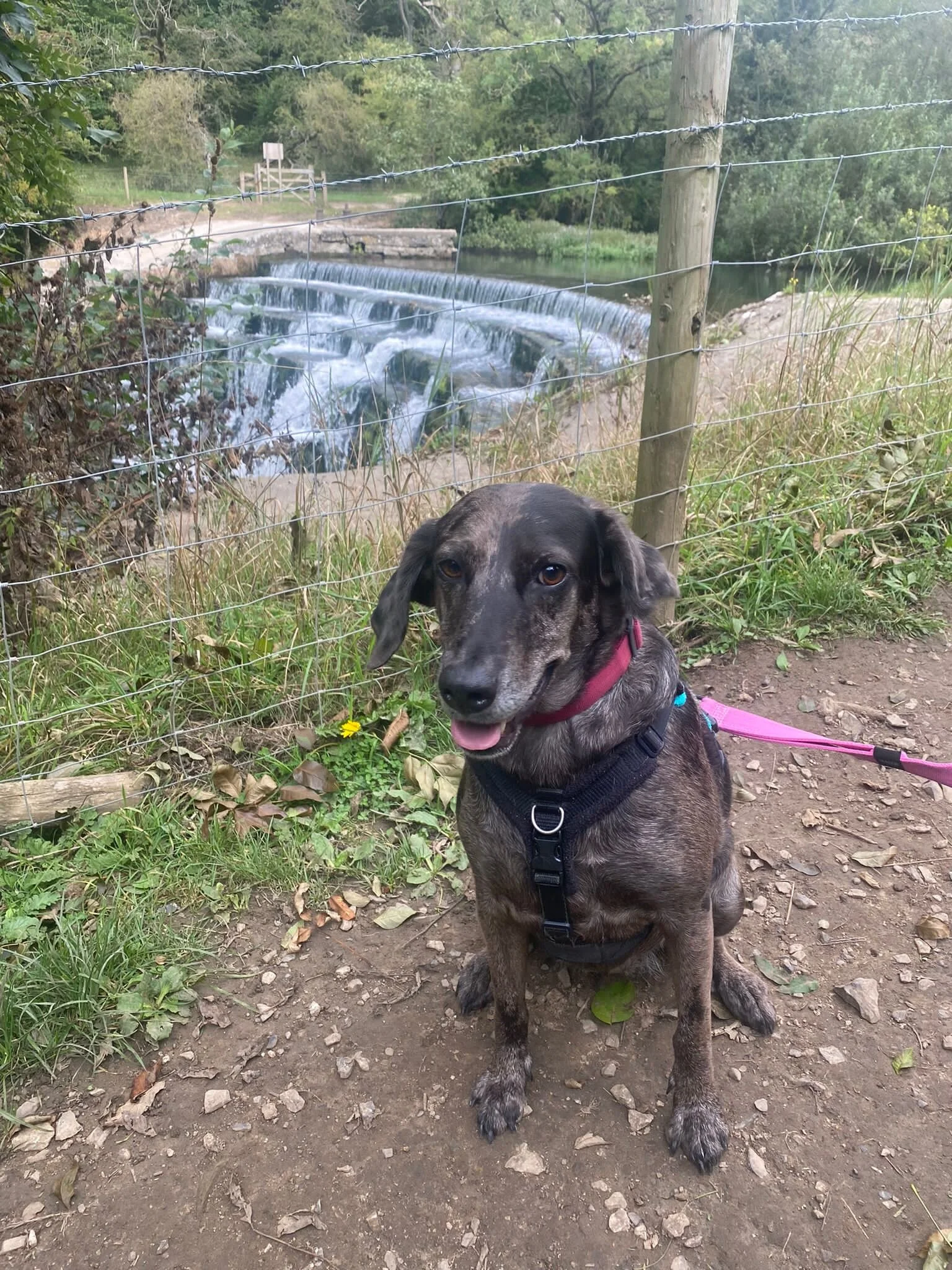 954FCEC3-A587-4191-8B19-6B2DE5DD9EED