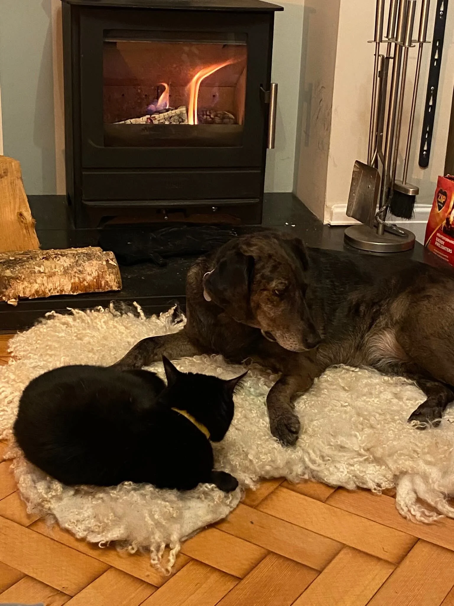 C4F10796-6AF3-4328-8A91-E3D29E61FAF6