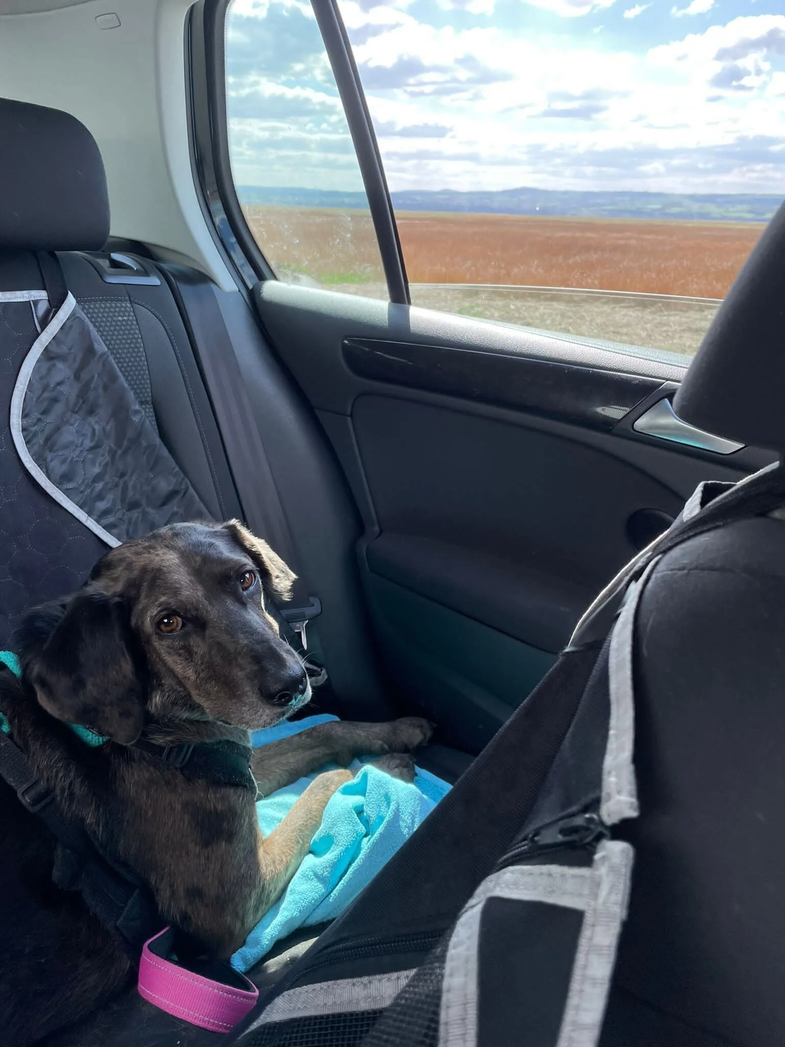 69233A37-80C5-4B91-9962-B89923710AB7